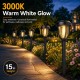 12 Pack Solar Lights Outdoor, Solar Pathway Lights Auto On/Off Waterproof Garden Landscape Lighting for Path, Yard, Walkway, Driveway Decor