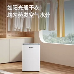 Portable Mini Dehumidifier