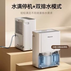 Portable Mini Dehumidifier